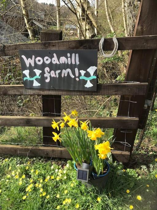 Woodmill Farm Cottage Alvington Exteriör bild